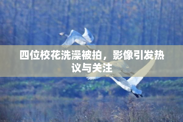 四位校花洗澡被拍，影像引发热议与关注