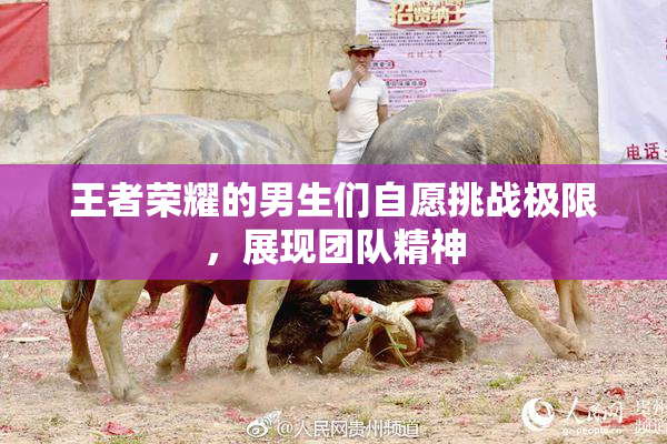 王者荣耀的男生们自愿挑战极限，展现团队精神