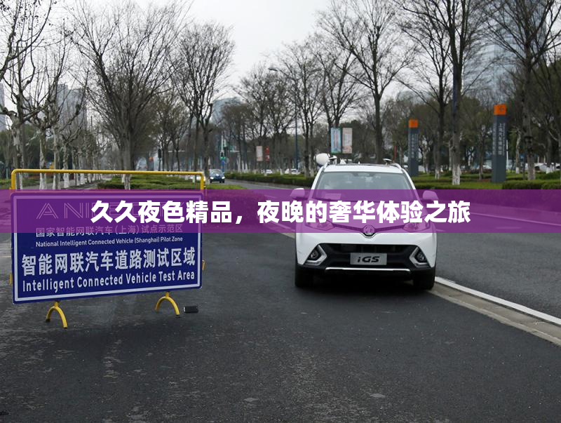 久久夜色精品，夜晚的奢华体验之旅