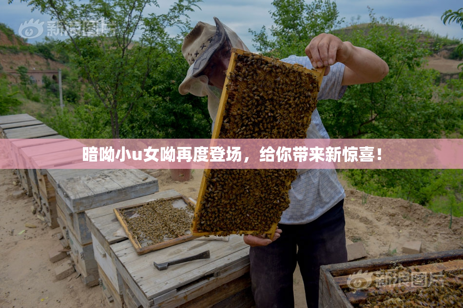 暗呦小u女呦再度登场，给你带来新惊喜！