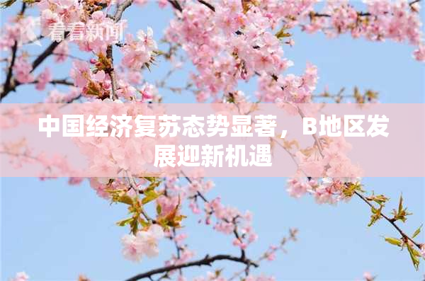 中国经济复苏态势显著，B地区发展迎新机遇