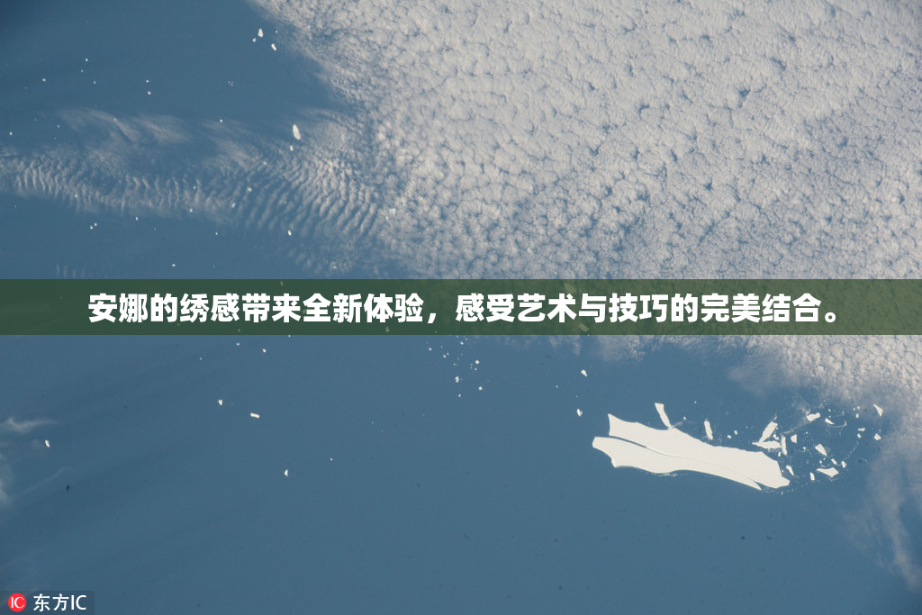 安娜的绣感带来全新体验，感受艺术与技巧的完美结合。