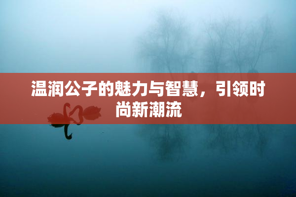 温润公子的魅力与智慧，引领时尚新潮流