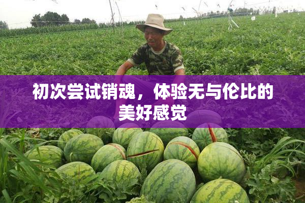 初次尝试销魂，体验无与伦比的美好感觉