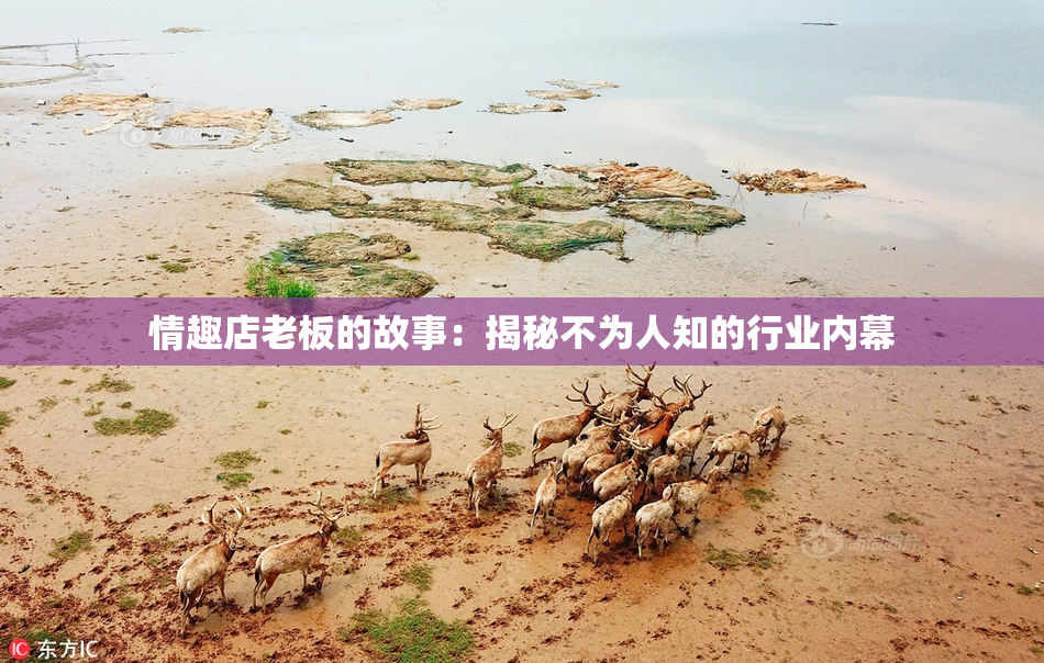 情趣店老板的故事：揭秘不为人知的行业内幕