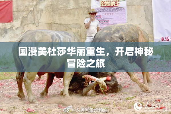国漫美杜莎华丽重生，开启神秘冒险之旅