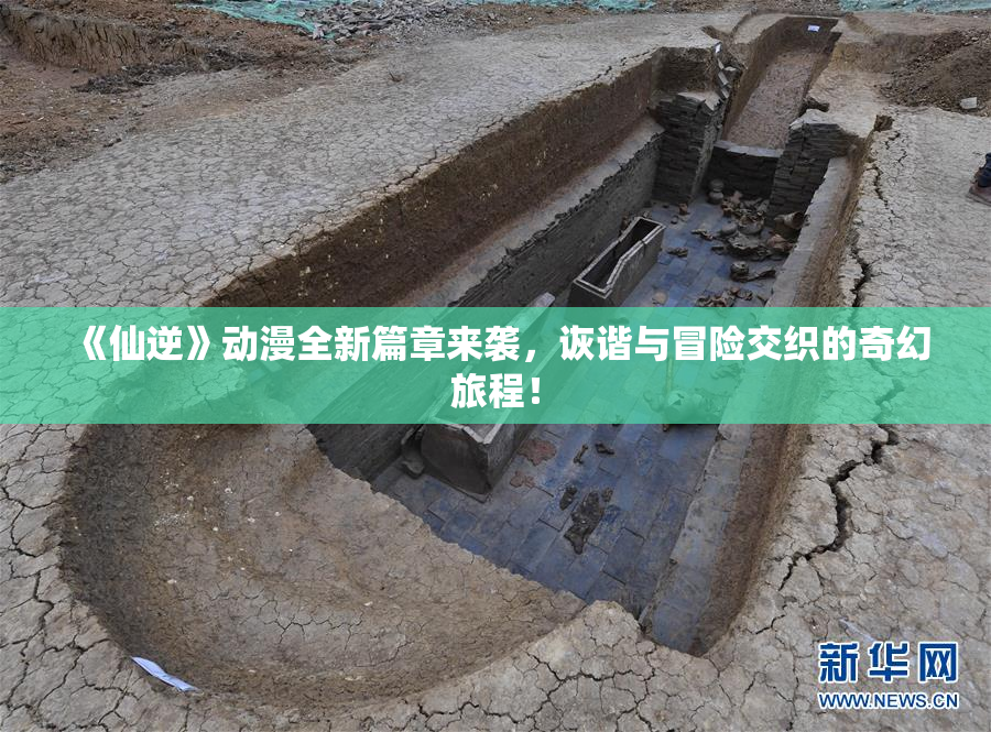 《仙逆》动漫全新篇章来袭，诙谐与冒险交织的奇幻旅程！