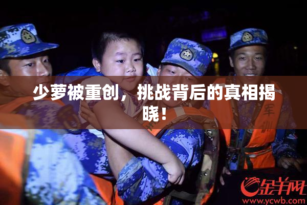 少萝被重创，挑战背后的真相揭晓！