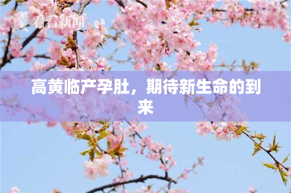 高黄临产孕肚，期待新生命的到来