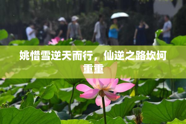 姚惜雪逆天而行，仙逆之路坎坷重重