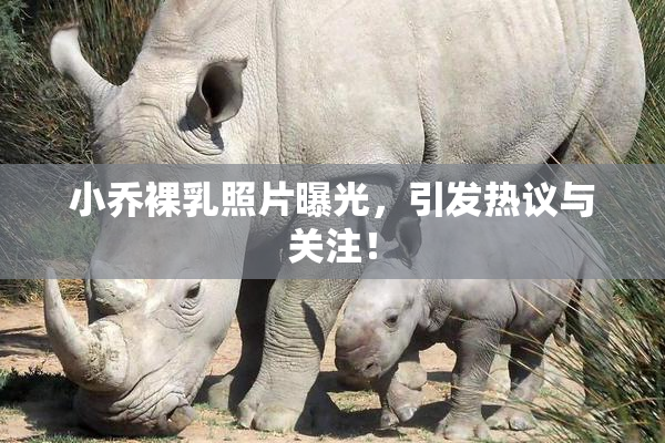 小乔裸乳照片曝光，引发热议与关注！