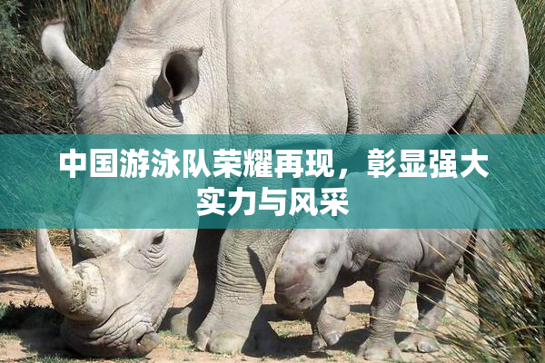 中国游泳队荣耀再现，彰显强大实力与风采