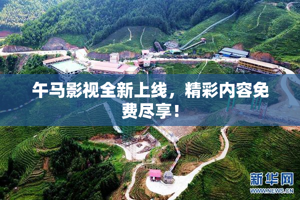午马影视全新上线，精彩内容免费尽享！