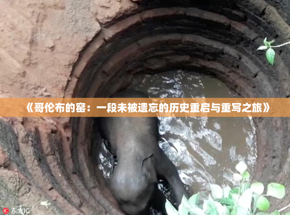 《哥伦布的窑：一段未被遗忘的历史重启与重写之旅》