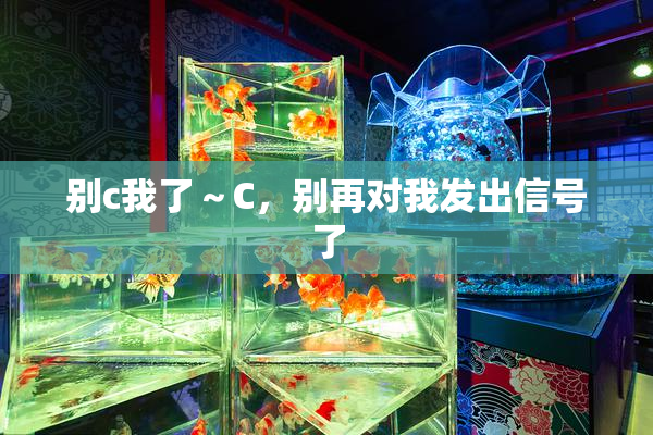别c我了～C，别再对我发出信号了