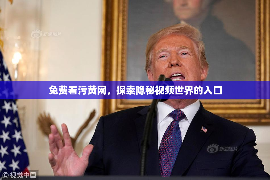 免费看污黄网，探索隐秘视频世界的入口