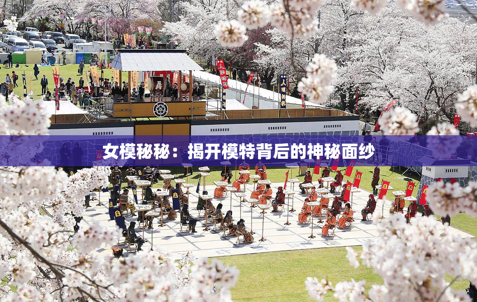 女模秘秘：揭开模特背后的神秘面纱