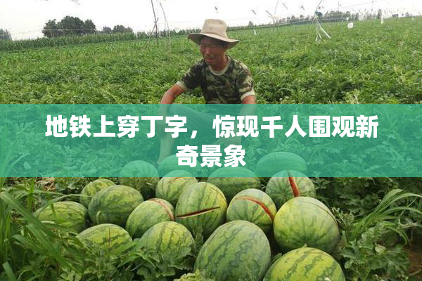 地铁上穿丁字，惊现千人围观新奇景象