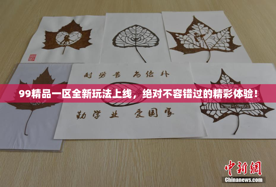 99精品一区全新玩法上线，绝对不容错过的精彩体验！