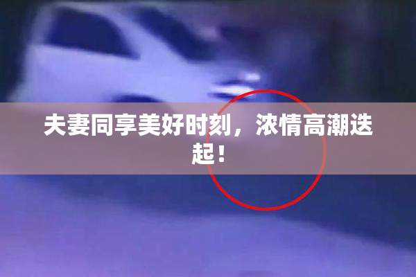 夫妻同享美好时刻，浓情高潮迭起！