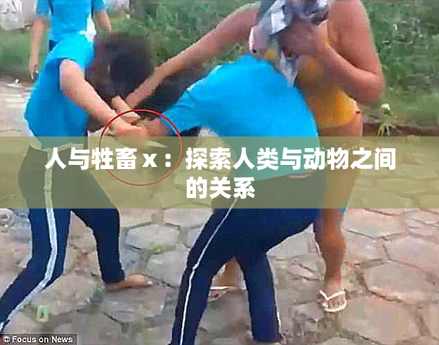 人与牲畜ⅹ：探索人类与动物之间的关系