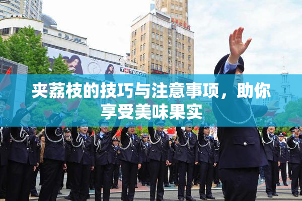 夹荔枝的技巧与注意事项，助你享受美味果实