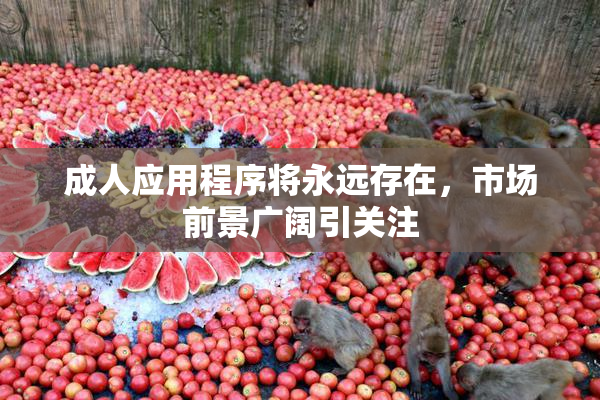 成人应用程序将永远存在，市场前景广阔引关注