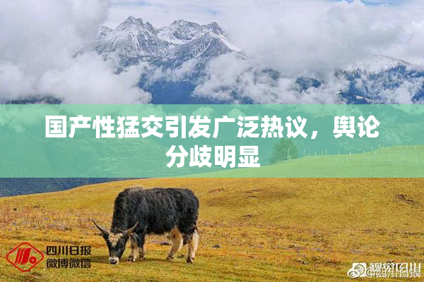 国产性猛交引发广泛热议，舆论分歧明显