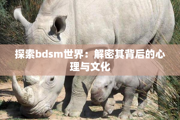 探索bdsm世界：解密其背后的心理与文化