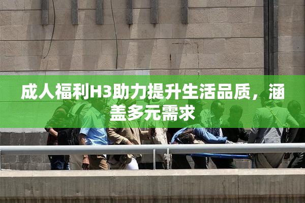 成人福利H3助力提升生活品质，涵盖多元需求