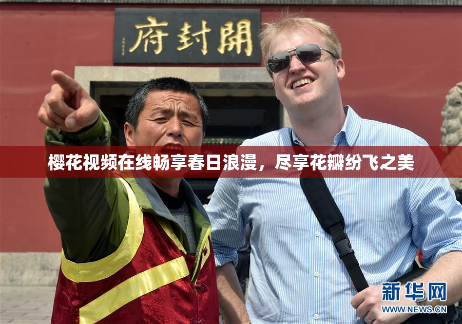 樱花视频在线畅享春日浪漫，尽享花瓣纷飞之美