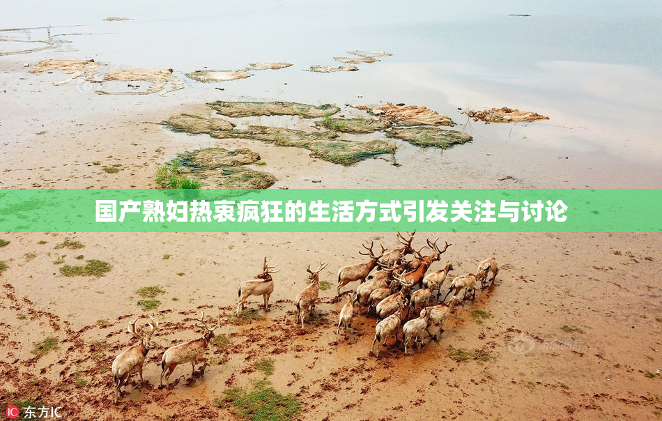 国产熟妇热衷疯狂的生活方式引发关注与讨论