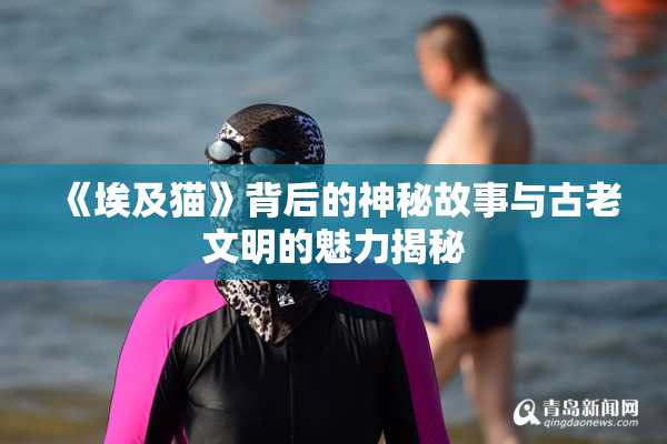 《埃及猫》背后的神秘故事与古老文明的魅力揭秘