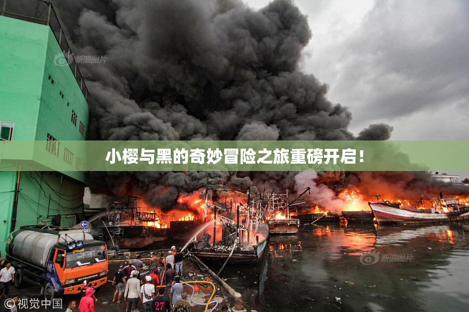 小樱与黑的奇妙冒险之旅重磅开启！