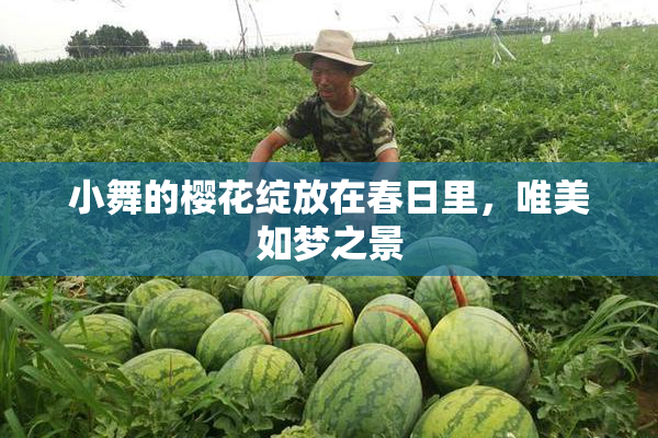 小舞的樱花绽放在春日里，唯美如梦之景