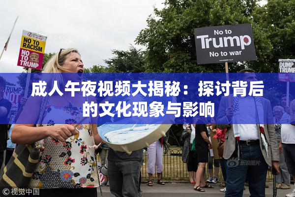 成人午夜视频大揭秘：探讨背后的文化现象与影响