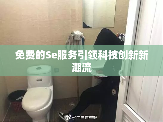 免费的Se服务引领科技创新新潮流
