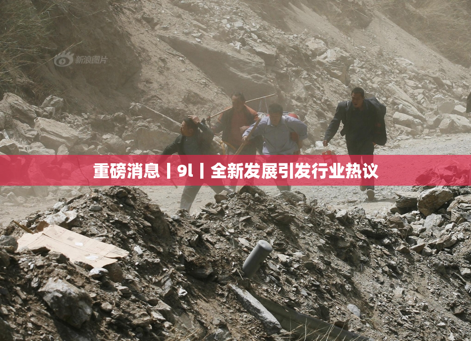 重磅消息丨9l丨全新发展引发行业热议