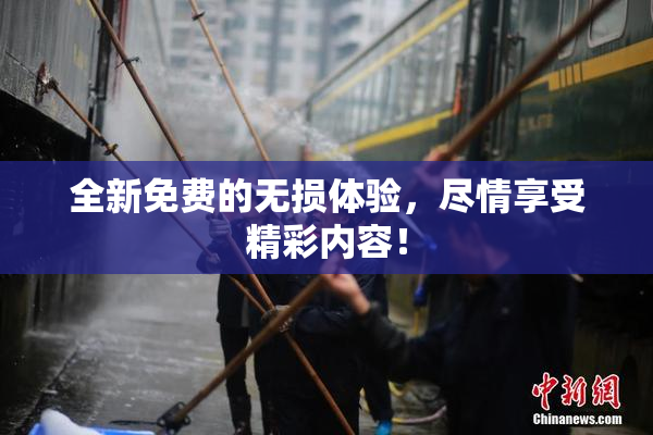 全新免费的无损体验，尽情享受精彩内容！