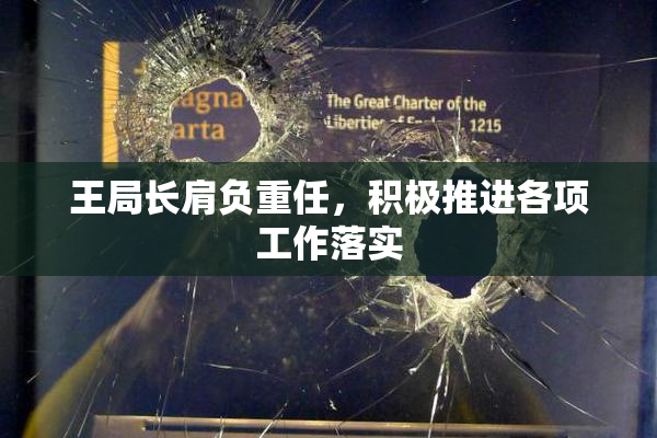 王局长肩负重任，积极推进各项工作落实