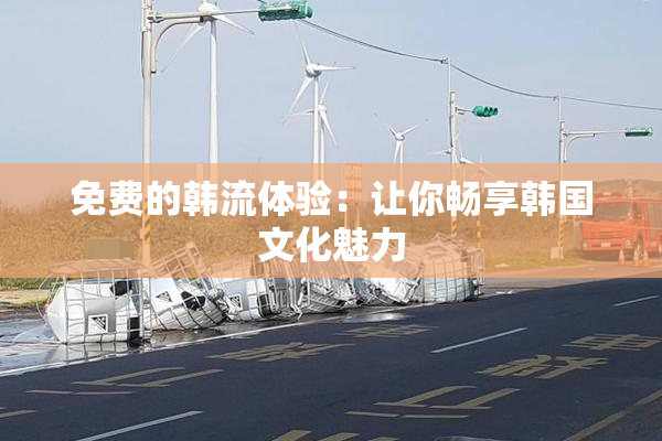 免费的韩流体验：让你畅享韩国文化魅力