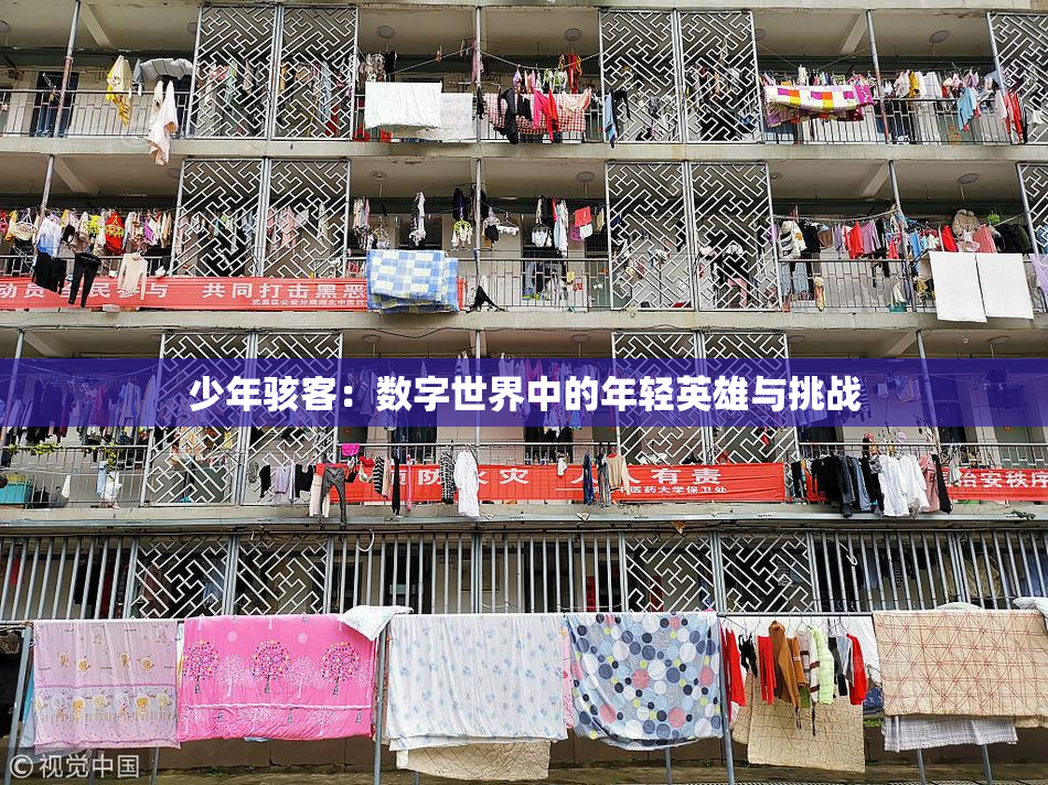 少年骇客：数字世界中的年轻英雄与挑战