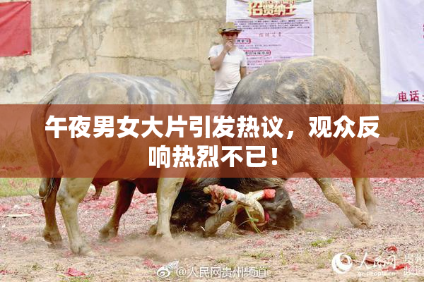 午夜男女大片引发热议，观众反响热烈不已！