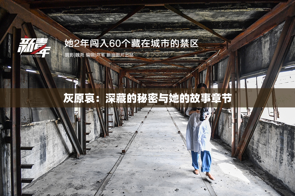 灰原哀：深藏的秘密与她的故事章节