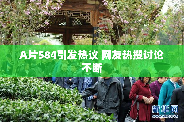 A片584引发热议 网友热搜讨论不断