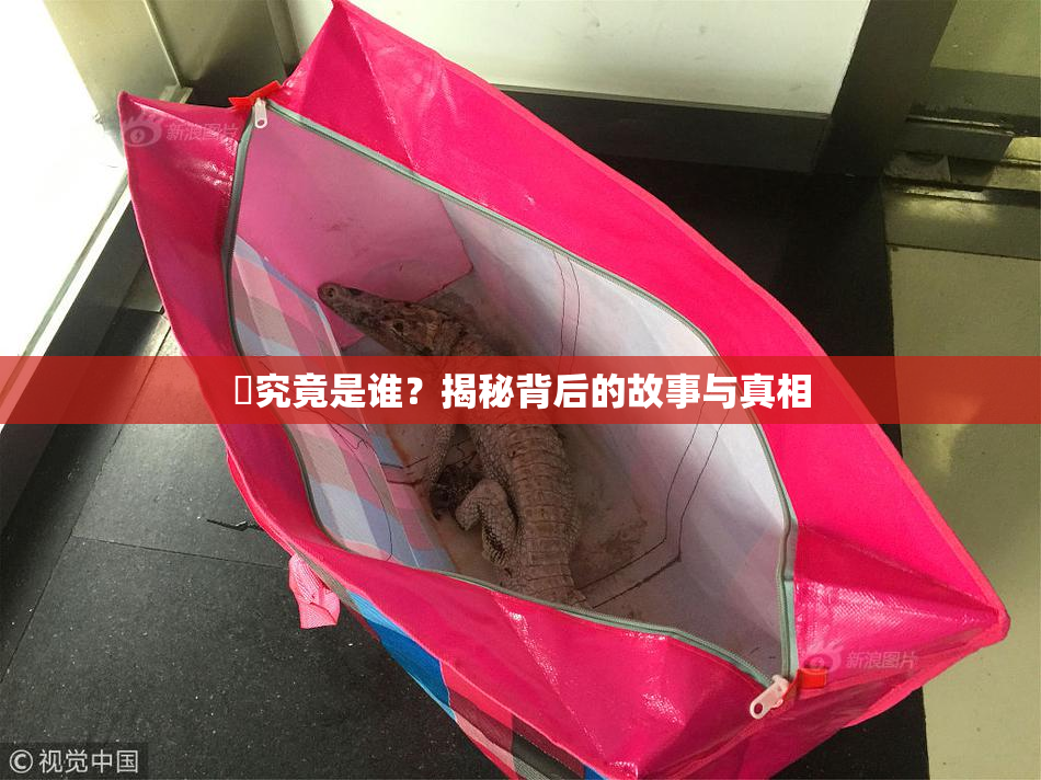 凪究竟是谁？揭秘背后的故事与真相