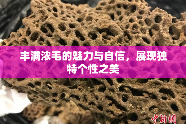 丰满浓毛的魅力与自信，展现独特个性之美