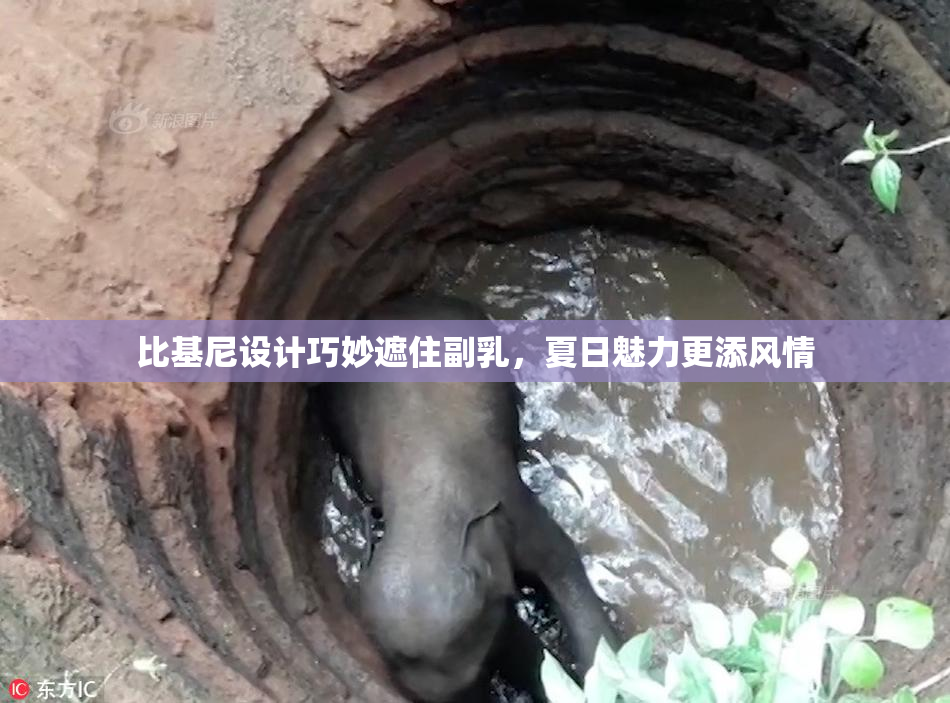 比基尼设计巧妙遮住副乳，夏日魅力更添风情