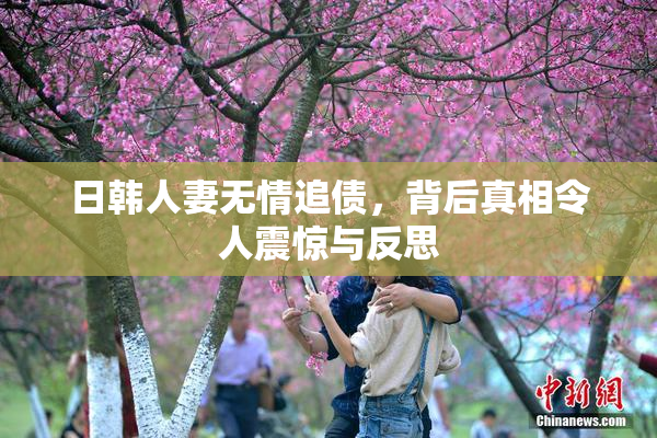 日韩人妻无情追债，背后真相令人震惊与反思