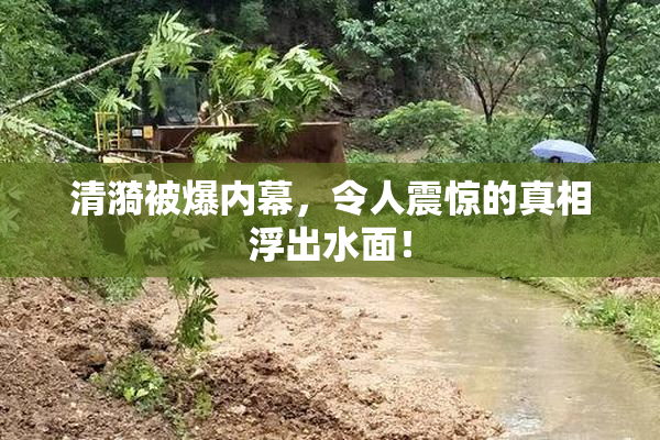 清漪被爆内幕，令人震惊的真相浮出水面！